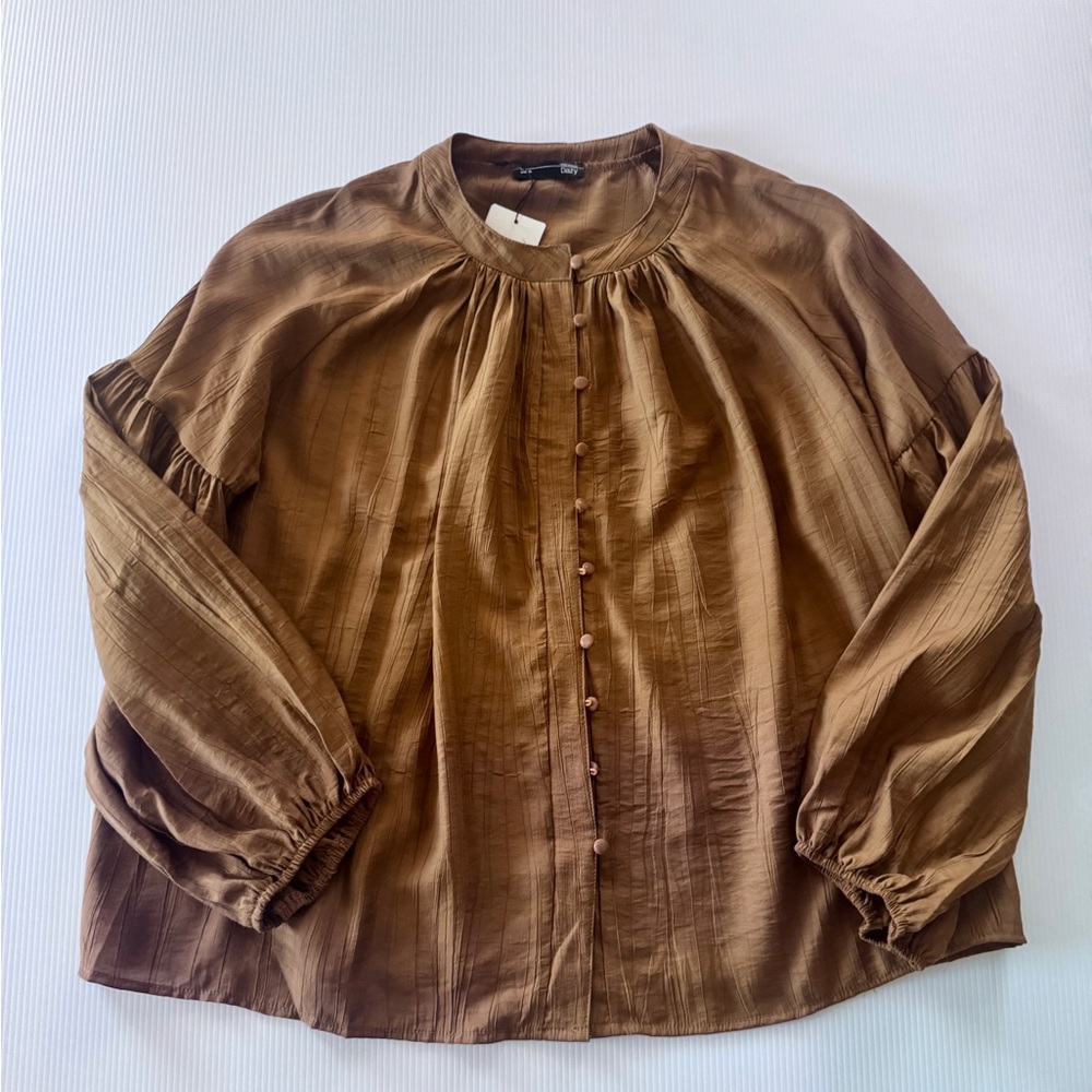 Dazy Brown Women's Top